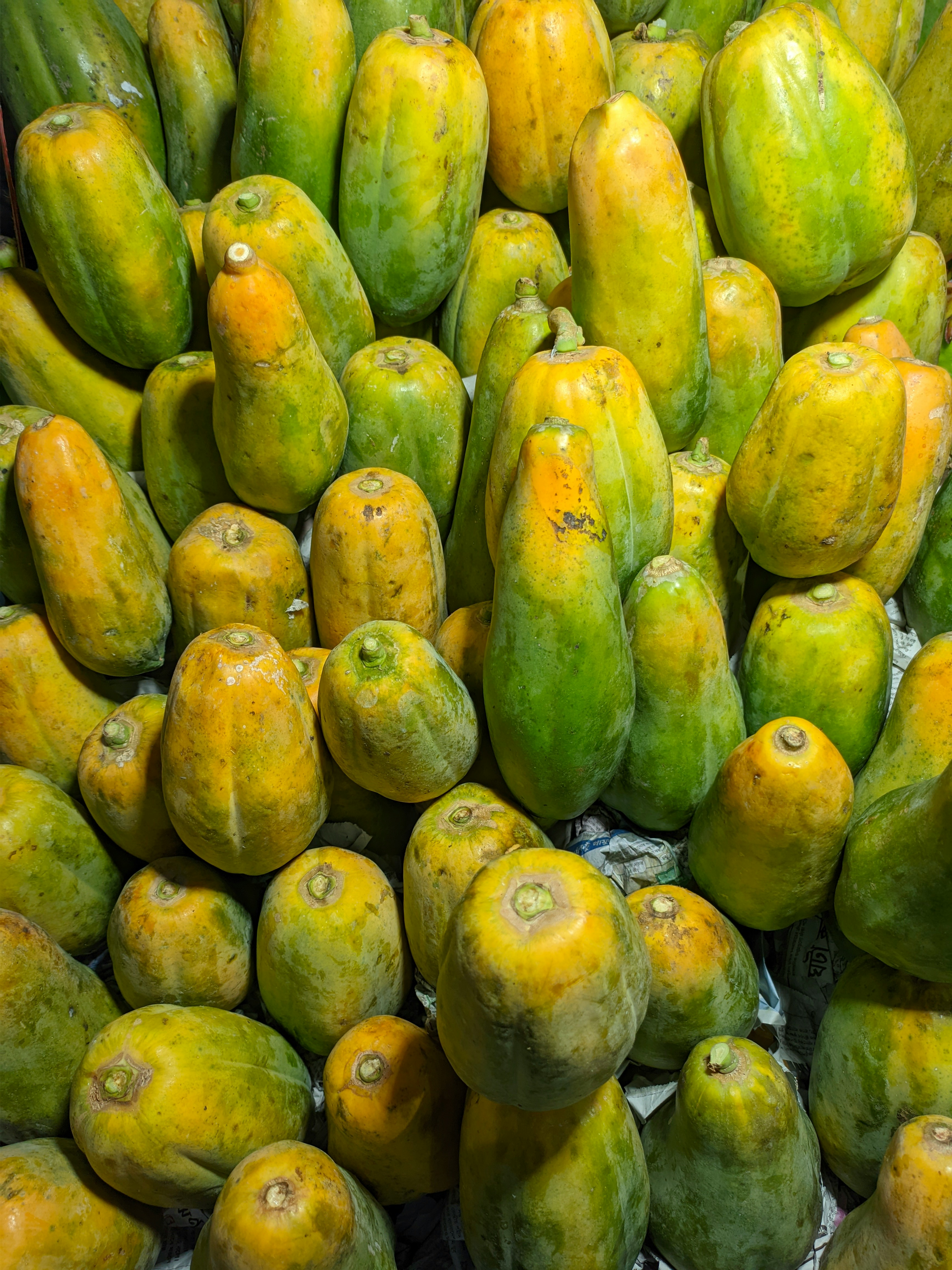 Sustainable papaya farming